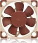 Noctua NF-A4x10 5V PWM kaina ir informacija | Kompiuterių ventiliatoriai | pigu.lt