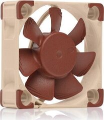 Noctua NF-A4x10 5V PWM kaina ir informacija | Kompiuterių ventiliatoriai | pigu.lt