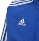Džemperis vyrams Adidas mėlynas цена и информация | Futbolo apranga ir kitos prekės | pigu.lt