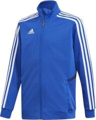 Džemperis vyrams Adidas mėlynas kaina ir informacija | Futbolo apranga ir kitos prekės | pigu.lt