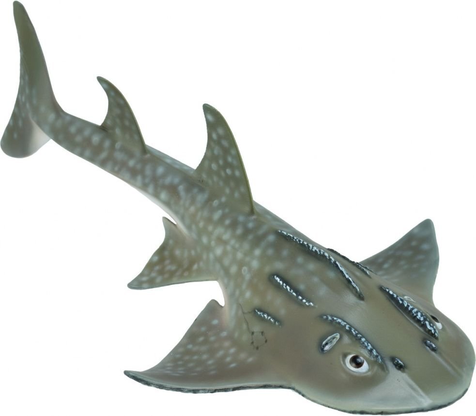 Ryklys Collecta Bowmouth Guitarfish L цена и информация | Žaislai berniukams | pigu.lt