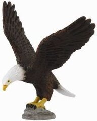 COLLECTA (M) Американский белоголовый орел цена и информация | Игрушки для мальчиков | pigu.lt