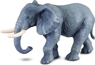 Figūrėlė Afrikos dramblys Collecta, 88025 kaina ir informacija | Žaislai berniukams | pigu.lt