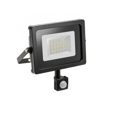 GTV LED 10Вт уличный прожектор iNEXT с датчиком движения IP65, черный - LD-INEXT10W-64 цена и информация | Фонарики, прожекторы | pigu.lt