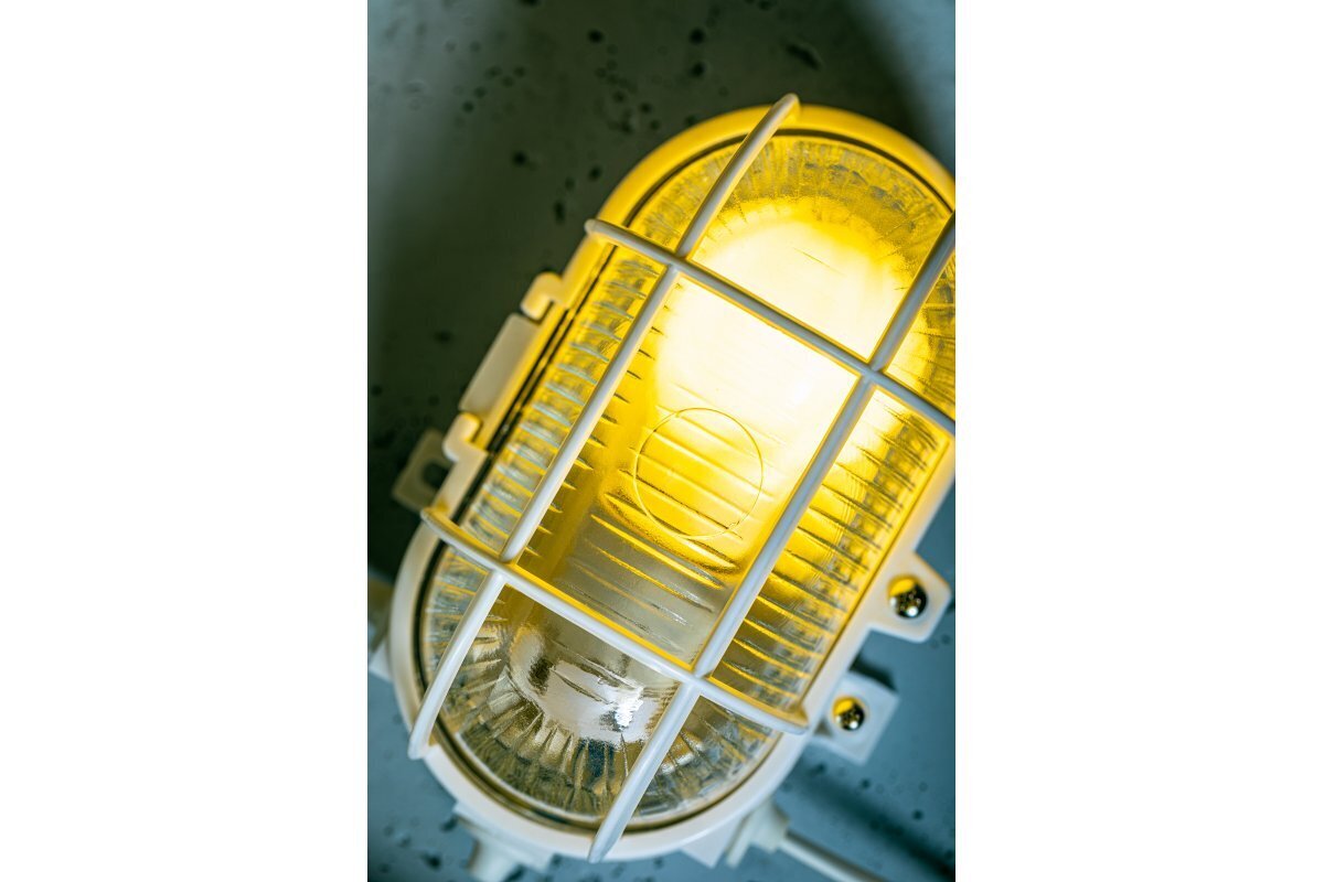 GTV sieninis šviestuvas Sanguesa OS-KAY060-00 kaina ir informacija | Sieniniai šviestuvai | pigu.lt