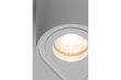 GTV lubinis šviestuvas Senso Duo kaina ir informacija | Lubiniai šviestuvai | pigu.lt