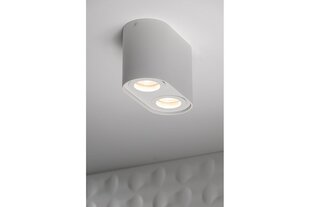 Потолочный светильник GTV Senso Duo цена и информация | Потолочные светильники | pigu.lt