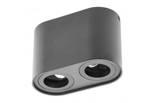 Потолочный светильник GTV Senso Duo цена и информация | Потолочные светильники | pigu.lt