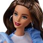 Lėlė Barbie Fashionista, FXL54 kaina ir informacija | Žaislai mergaitėms | pigu.lt
