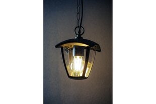Светильник садовый подвесной MARINA, чёрный цена и информация | Уличные светильники | pigu.lt