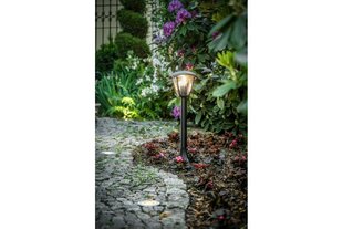 Светильник садовый MARINA, чёрный цена и информация | Уличные светильники | pigu.lt