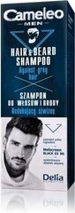 Мужской шампунь для седых волос CAMELEO, 150 мл цена и информация | Шампуни | pigu.lt