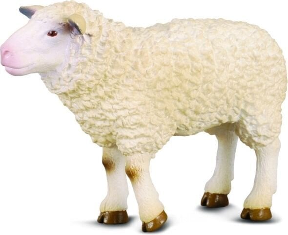 Figūrėlė avis Collecta (M) kaina ir informacija | Žaislai berniukams | pigu.lt