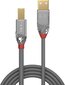 CABLE USB2 A-B 3M/CROMO 36643 LINDY цена и информация | Laidai telefonams | pigu.lt