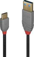2m USB 2.0  Type A to C Cable, Anthra Line Lindy 36887 цена и информация | Кабели для телефонов | pigu.lt