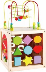 Деревянный ящик для занятий в виде куба Activity Box цена и информация | Игрушки для малышей | pigu.lt