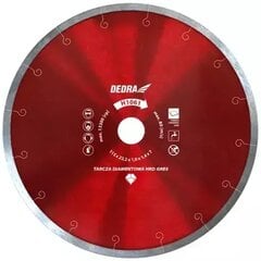 Deimantinis diskas kietai keramikai 250x25,4mm kaina ir informacija | Šlifuokliai | pigu.lt