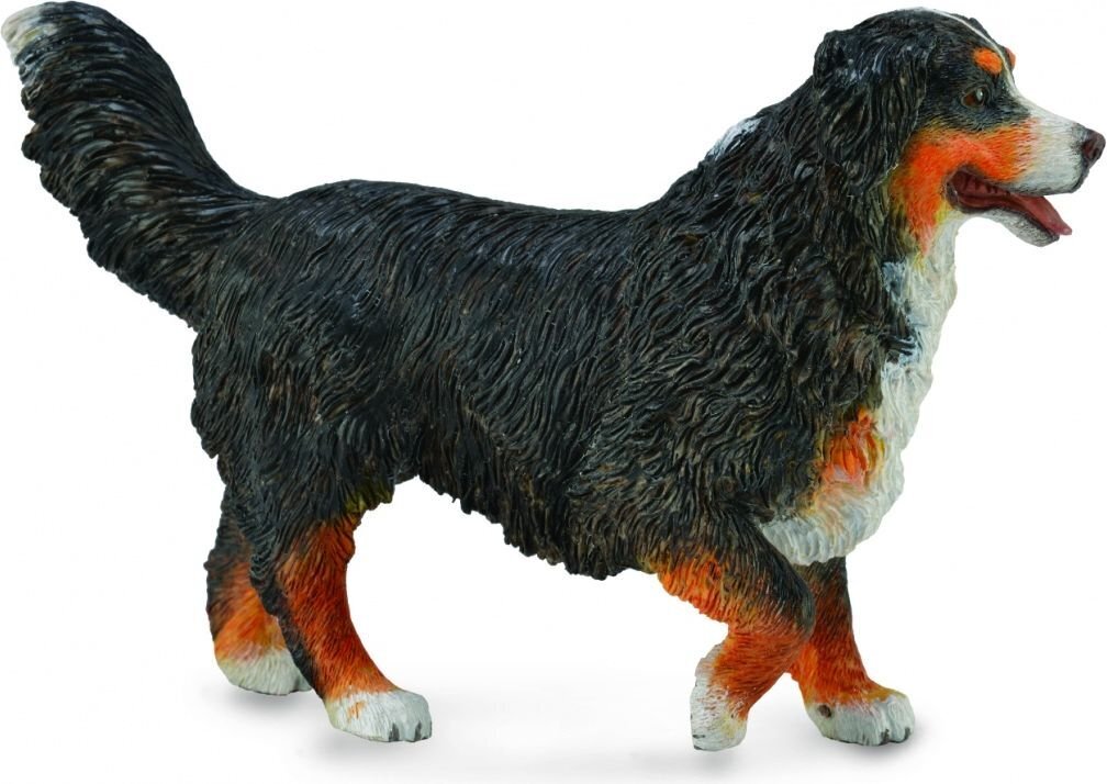 Šuns figūrėlė - Berno kalnų šuo Collecta, 7x10 cm kaina ir informacija | Žaislai berniukams | pigu.lt