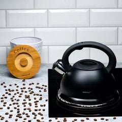 Kamille чайник из нержавеющей стали, 3 л.  цена и информация | Чайники, кофейники | pigu.lt