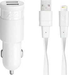 Зарядное устройство RivaCase 2 x USB, 3.4 A цена и информация | Зарядные устройства для телефонов | pigu.lt