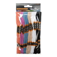 Хлопчатобумажные вышивальные нитки пастельных цветов мулине «RainBow®» RB-05 12 шт.x8 м цена и информация | Принадлежности для вышивания | pigu.lt