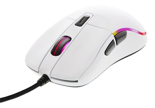 Laidinė pelė Deltaco Gaming RGB GAM-085-W, balta kaina ir informacija | Pelės | pigu.lt