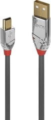 CABLE USB2 A TO MINI-B 3M/CROMO 36633 LINDY цена и информация | Кабели для телефонов | pigu.lt