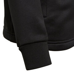 Детский свитер Adidas Regista 18 Junior черный CZ8629 цена и информация | Футбольная форма и другие товары | pigu.lt