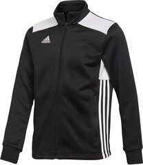 Детский свитер Adidas Regista 18 Junior черный CZ8629 цена и информация | Футбольная форма и другие товары | pigu.lt