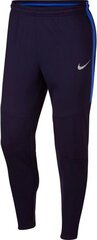 Штаны Nike NK Therma SQD Pant KPZ M AQ0350-416, синие цена и информация | Футбольная форма и другие товары | pigu.lt