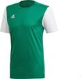 Мужская футболка Adidas Estro 19 DP3238, зеленая