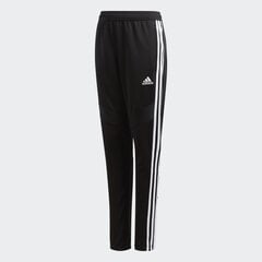 SWEATPANTS ADIDAS PERFORMANCE TIRO19 TR PNTY D95961 цена и информация | Спортивные штаны для мальчиков | pigu.lt