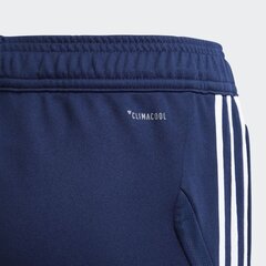 Брюки Adidas Tiro19, синий цвет цена и информация | Футбольная форма и другие товары | pigu.lt