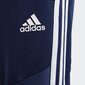 Kelnės Adidas Tiro19, mėlynos цена и информация | Futbolo apranga ir kitos prekės | pigu.lt