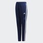 Kelnės Adidas Tiro19, mėlynos цена и информация | Futbolo apranga ir kitos prekės | pigu.lt