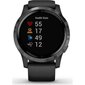 Garmin vívoactive® 4 Black/Slate kaina ir informacija | Išmanieji laikrodžiai (smartwatch) | pigu.lt