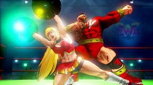 Street Fighter V: Champion Edition PS4 цена и информация | Компьютерные игры | pigu.lt