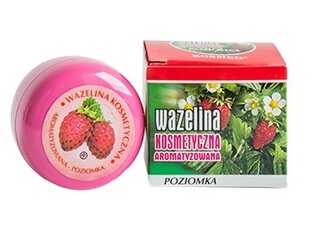 Lūpų balzamas Strawberry, 15 ml kaina ir informacija | Lūpų dažai, blizgiai, balzamai, vazelinai | pigu.lt