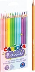 Карандаши пастельных тонов Carioca Pastel, 12 цветов цена и информация | Принадлежности для рисования, лепки | pigu.lt