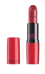 Губная помада Perfect Color Lipstick 804 цена и информация | Помады, бальзамы, блеск для губ | pigu.lt