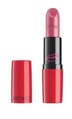 Губная помада Perfect Color Lipstick 887 цена и информация | Помады, бальзамы, блеск для губ | pigu.lt