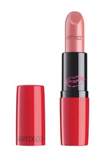 Lūpų dažai Artdeco "Perfect Color Lipstick" 896 kaina ir informacija | Lūpų dažai, blizgiai, balzamai, vazelinai | pigu.lt