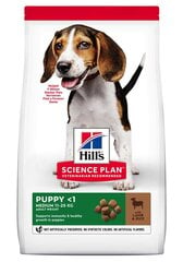 Hill's Science Plan Puppy Medium ėdalas šunims su ėriena ir ryžiais, 14 kg цена и информация |  Сухой корм для собак | pigu.lt