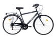 Miesto dviratis Bottari Piso 28", pilkas kaina ir informacija | Dviračiai | pigu.lt