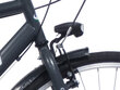 Miesto dviratis Bottari Piso 28", pilkas kaina ir informacija | Dviračiai | pigu.lt