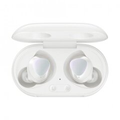 Samsung Galaxy Buds+ kaina ir informacija | Samsung Išoriniai kompiuterių aksesuarai | pigu.lt