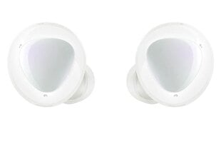 Samsung Galaxy Buds+ kaina ir informacija | Samsung Išoriniai kompiuterių aksesuarai | pigu.lt