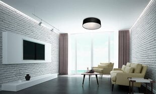 Light Prestige lubinis šviestuvas Alto Ceiling Black цена и информация | Потолочные светильники | pigu.lt