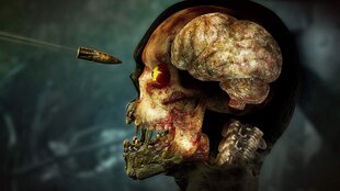 Компьютерная игра Zombie Army 4: Dead War для PS4 цена и информация | Компьютерные игры | pigu.lt