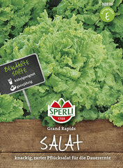 Листовой салат Grand Rapids цена и информация | Семена овощей, ягод | pigu.lt